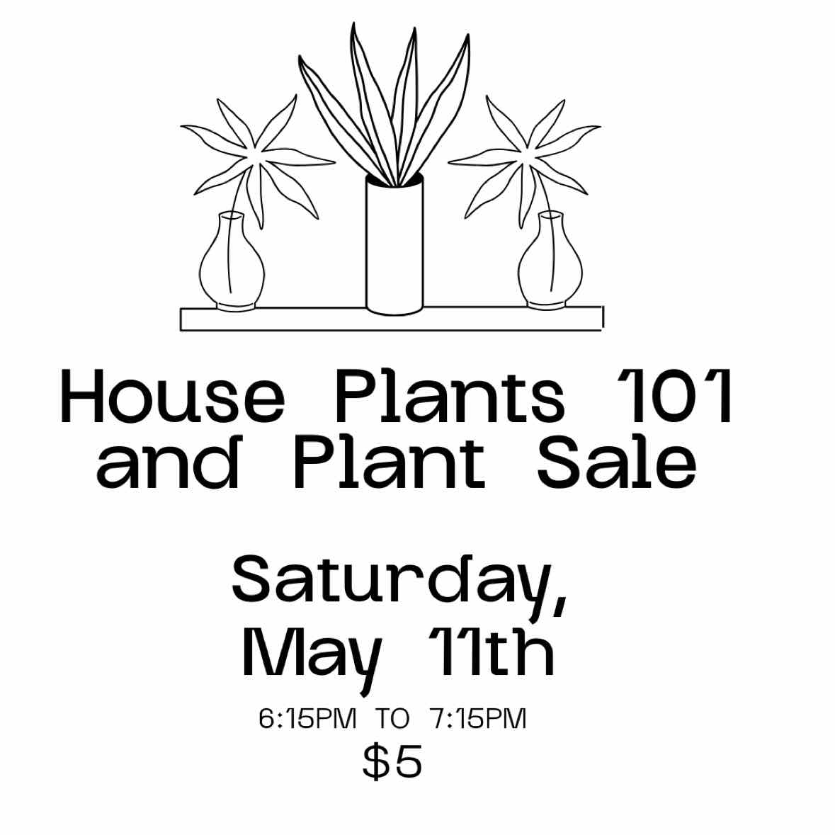potted plants 101 Houseplants 101 – Janky Gear