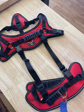 Load image into Gallery viewer, XL Doggie Stylz Dog Leash/Harness/Collar