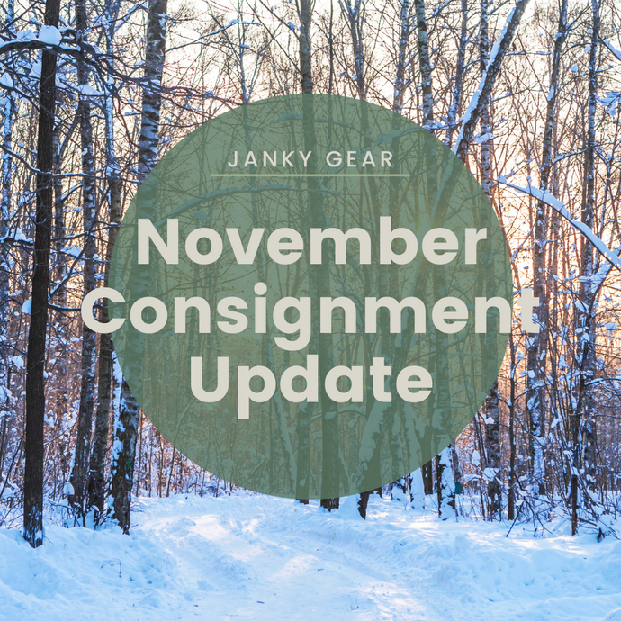 November Consignment Update - Check the Light!