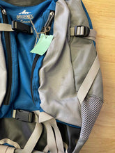 Load image into Gallery viewer, Gregory Backpack
