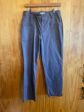 Load image into Gallery viewer, Size 8 Frye Grey Women's Pants
