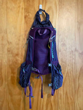 Load image into Gallery viewer, Nathan 12 Backpack
