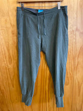 Load image into Gallery viewer, Size Medium Patagonia Green Women's Sweatpants

