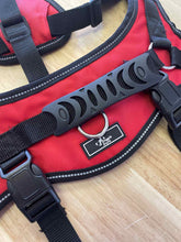 Load image into Gallery viewer, XL Doggie Stylz Dog Leash/Harness/Collar
