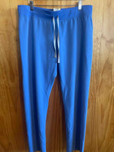 Load image into Gallery viewer, Size Large Figs Light Blue Women&#39;s Pants
