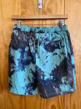 Load image into Gallery viewer, Size S The North Face Men's Shorts
