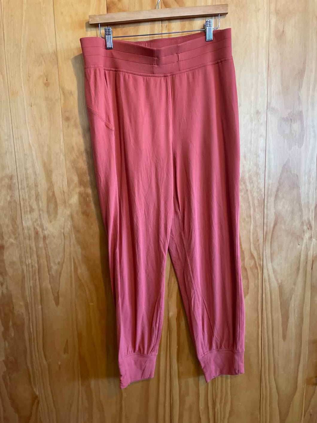 Size 10 Lululemon Rose Women's Pants