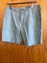 Load image into Gallery viewer, Size 34 Free Planet Men's Shorts
