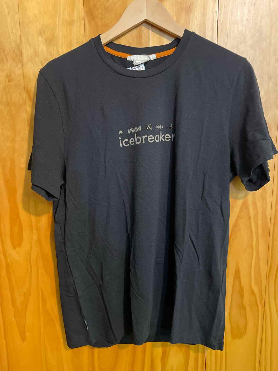 Size Large Icebreaker Men's Short Sleeve Shirt