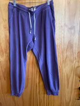 Load image into Gallery viewer, Size Large Pact Purple Women's Sweatpants
