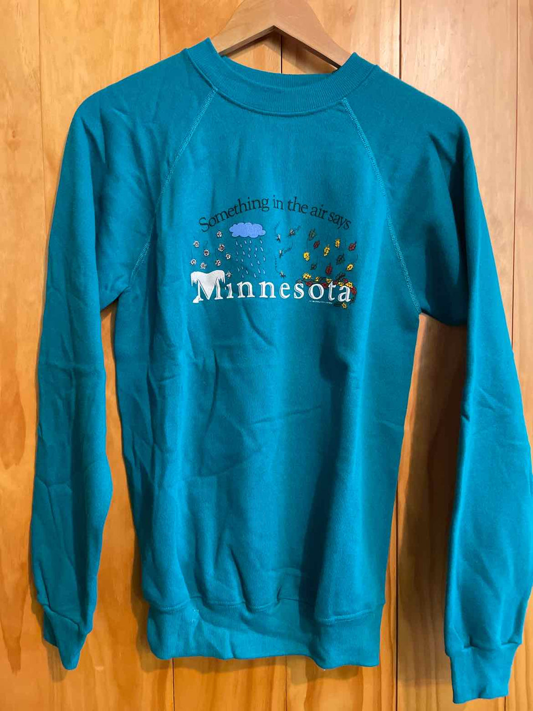 Size Medium Hanes Green Women's Sweater & Sweatshirt