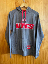 Load image into Gallery viewer, Mens Size Small Champion Men&#39;s Hoodie
