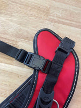 Load image into Gallery viewer, XL Doggie Stylz Dog Leash/Harness/Collar
