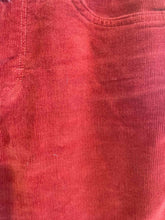 Load image into Gallery viewer, Size 4 Patagonia Red Women's Pants
