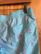 Load image into Gallery viewer, Size Large Party Pants Men's Swim Trunks
