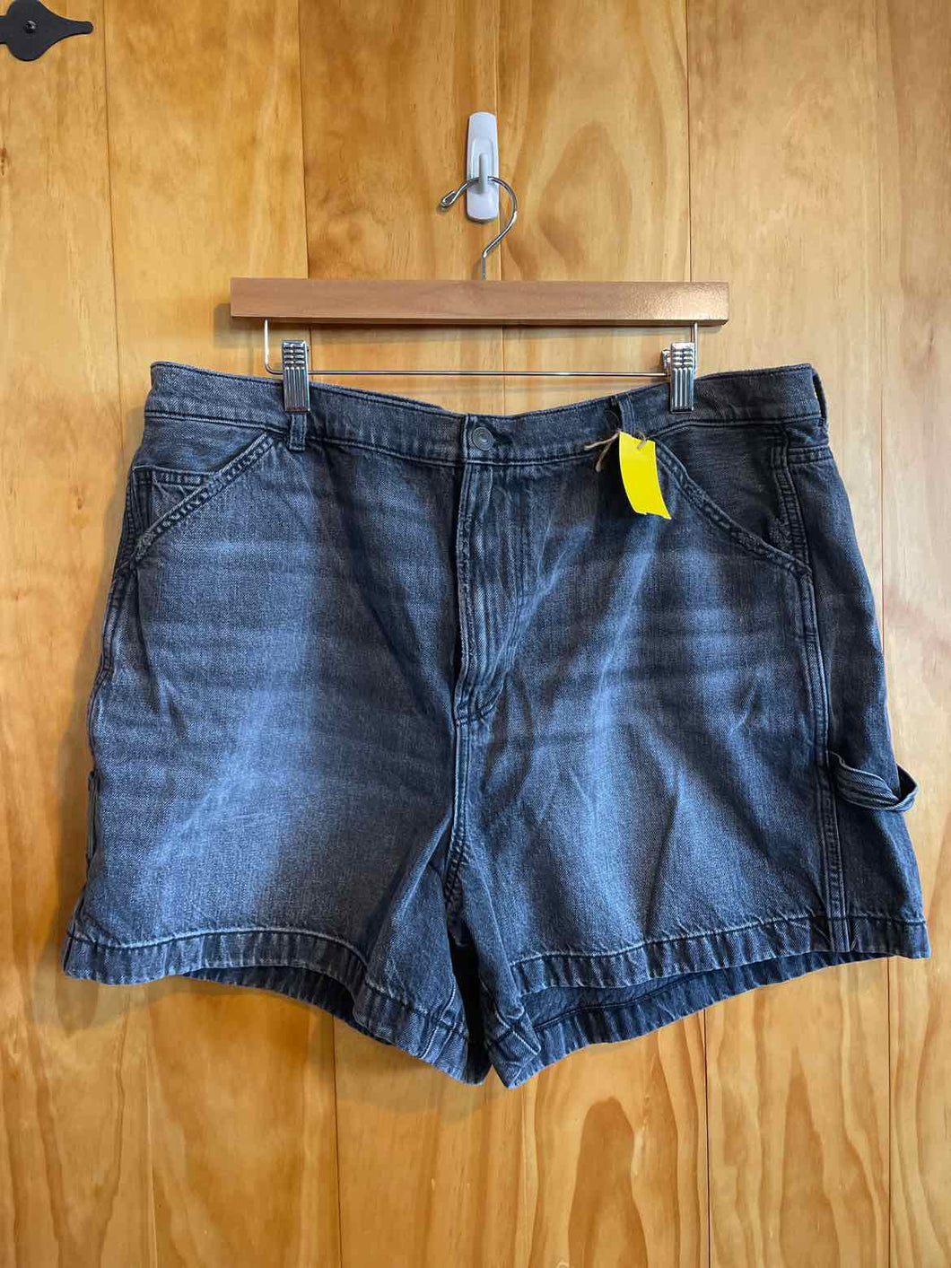 Size 20 American Eagle Grey Women's Shorts