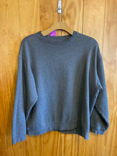 Load image into Gallery viewer, Size XL Eddie Bauer Men's Sweater &amp; Sweatshirt
