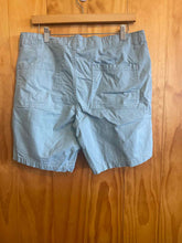 Load image into Gallery viewer, Size 34 Free Planet Men's Shorts
