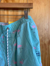 Load image into Gallery viewer, Size Large Party Pants Men's Swim Trunks
