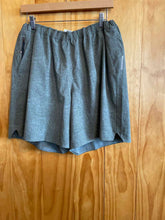 Load image into Gallery viewer, Size XL REI Men's Shorts
