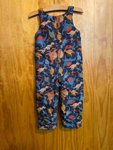 Load image into Gallery viewer, Unisex The Children's Place Snowpants
