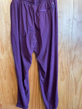 Load image into Gallery viewer, Size Large BearBottom Men's Pants
