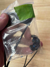 Load image into Gallery viewer, Misc. Skiing
