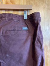 Load image into Gallery viewer, Size 12 Eddie Bauer Brown Women's Hiking Pants
