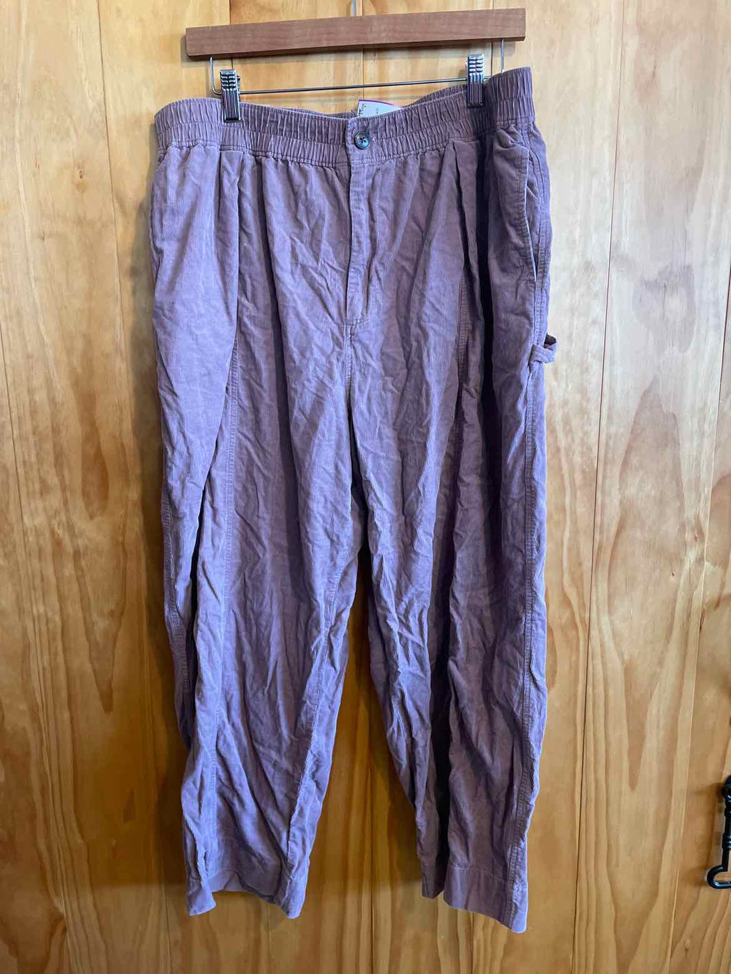 Size XL Madewell Pink Women's Pants