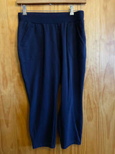 Load image into Gallery viewer, Size Medium Christopher &amp; Banks Blue Women&#39;s Pants
