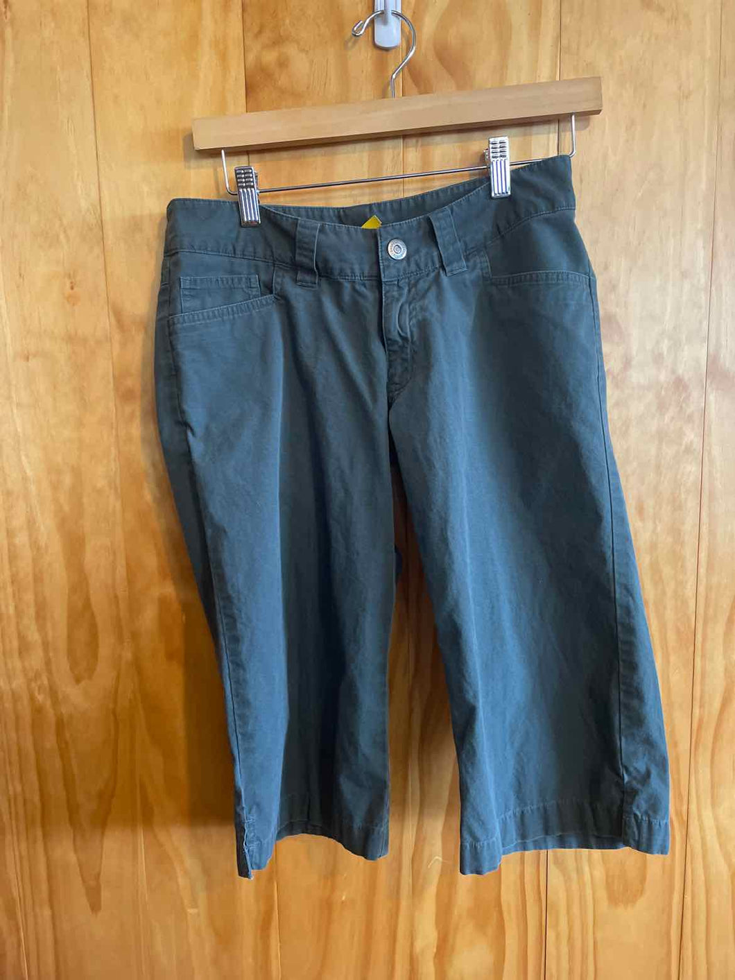 Size 2 Patagonia Green Women's Capris