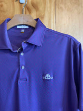 Load image into Gallery viewer, Size Large Peter Millar Men&#39;s Short Sleeve Shirt
