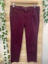 Load image into Gallery viewer, Size 12P Eddie Bauer Maroon Women&#39;s Pants
